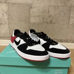 【新品未使用】Nike SB スニーカー ブラック/レッド