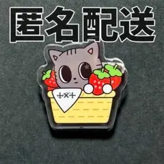 TXT ご当地 プルバトゥ 福岡 限定 ダゴニャン アクリル バッジ