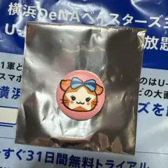 ベイスターズ　ボタンキャップ　キララ