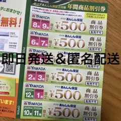 【即日発送＆匿名配送】ヤマダ電機 年間商品割引券 3000円分
