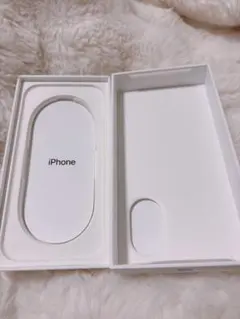 iPhone 17 空箱のみ ブルー