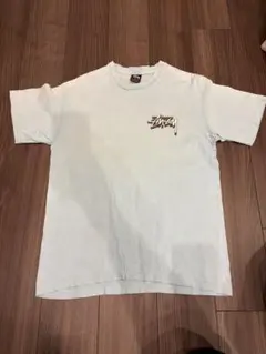 Stussy ライトブルー Tシャツ Mサイズ