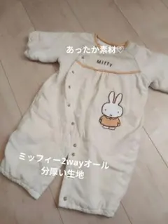 Item thumbnail for item 704a352e-e793-46c3-945e-c692dd3c3867