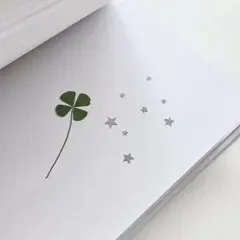 専用ページ