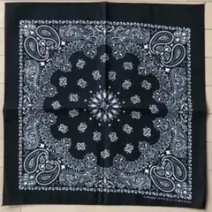 bacchus様専用HAV-A-HANK ペイズリーバンダナ 2枚セット