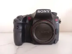 2026年最新】α77の人気アイテム - メルカリ