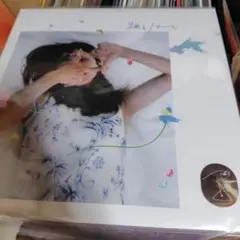 ☆満島ひかり 「踊るノアール」レコード RSD2026 アナログ盤 - メルカリ