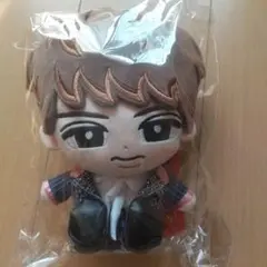 すのチル 向井康二 ぬいぐるみ 新品未開封 Snow Man