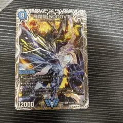 飛翔龍5000VT フライングブイ 銀トレジャー - メルカリ