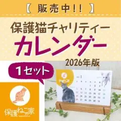 保護ねこの家　チャリティーカレンダー　2026