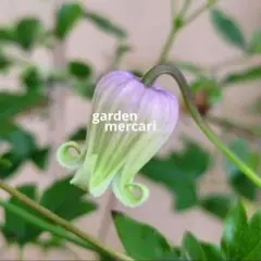 ちょぼる様 リクエスト 10点 まとめ商品