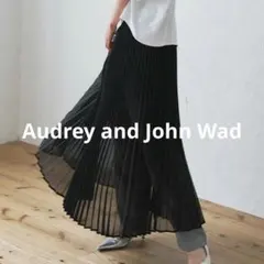 Audrey and John Wad オーガンジー プリーツ シアースカートのサムネイル