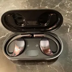 AI翻訳機 / 耳掛け式完全ワイヤレスイヤホン　本体のみ