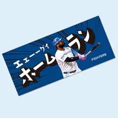 日ハム　レイエス　エエ－－グイ　ホームラン　タオル新品未使用