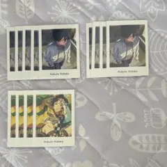 氷鷹北斗 ぱしゃっつ