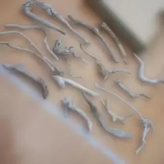 Item thumbnail for item c68fe401-0393-4e28-abbc-807d276484db