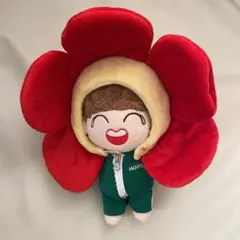 BTS j-hope ホビ ホソク ヒマンイ ぬいぐるみ大小＋おまけぬい ぬい活