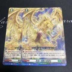 ヴァンガード　罪過に廃絶の美酒を 2枚