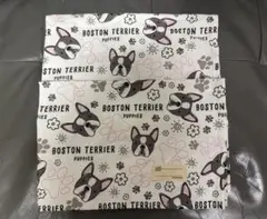 ランチョンマット(2枚セット) 40 60 小学校 幼稚園 ランチョンマット