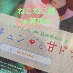 ねこねこ様★専用★