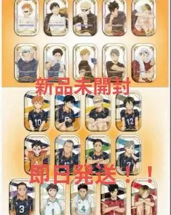新品 ハイキュー！！スクエア缶バッジ おすわり クールダウン セット