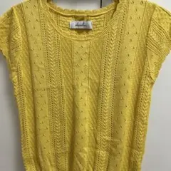 dazzlin 半袖ニット イエローのサムネイル