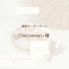 ジェンダーリビールピック 3点セット