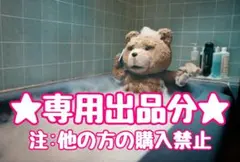 ちょー様専用出品分