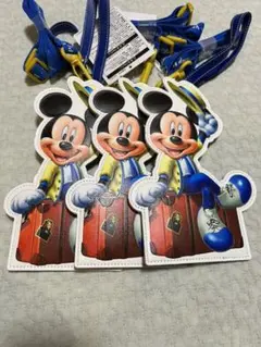 【新品未使用】バケーションパッケージ チケットホルダー