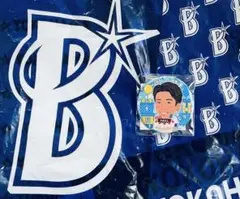 山本祐大選手　ガチャ　バースデーver. 缶バッジ