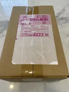 ポケモンセンター ヒロシマ　スペシャルBOX未開封シュリンク付き