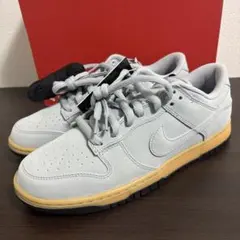 29cm　ナイキ　スニーカー　ダンク LOW レトロ SE　HQ1932-001