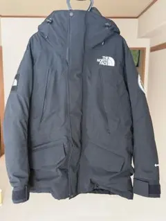 THE NORTH FACE アンタークティカダウン