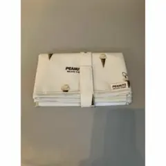 Item thumbnail for item 84c09cff-0543-47a0-b1ae-40910ba7541b