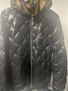 ⭐️大幅値下げ⭐️EDDIE BAUER EF800 ダウンジャケット ブラック