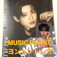 残3【新品】TREASURE LOVE PULSE アルバム ジュンギュトレカ付