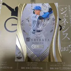 BBM GENESIS ジェネシス　2025 ベースボールマガジン　柴田獅子