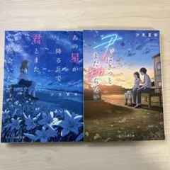 汐見夏衛 小説 2冊セット