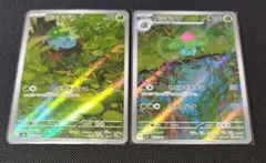 5*ル様 フシギダネ・フシギソウ AR2枚セット