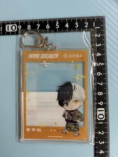 WINDBREAKER ウィンブレ 空庭温泉 桜遙 フォト風フレーム - メルカリ