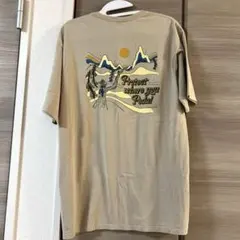 Patagonia オーガニックコットン Tシャツ