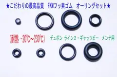 ★最高品質FKMフッ素！デュポン ライン２・ギャッツビーオーリング１set★2