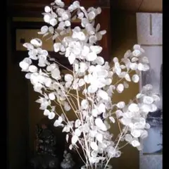 ゆう魔女様 リクエスト 2点 まとめ商品