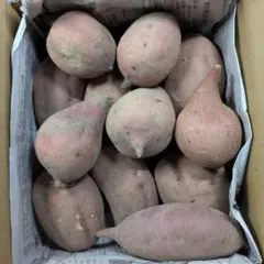 国産　農薬不使用　安納芋　サツマイモ　ラスト