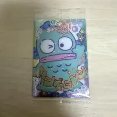산리오 キャラクターズ ホログラムカード ハンギョドン