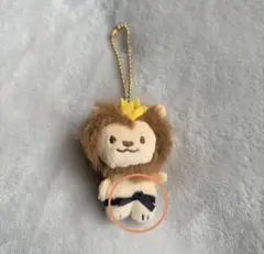 【最終値下げ】THE RAMPAGE武知海青 メンプロ がおちゃん