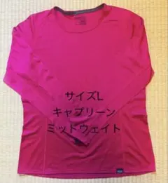 パタゴニア/キャプリーン/ミッドウェイクルー/サイズL/2017年製/44435