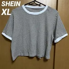 SHEIN Dazy Tシャツ 〈XL〉ブラウン ボーダー 半袖 シーイン