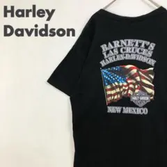2285 ハーレーダビッドソン　USA製　ビッグロゴ　Tシャツ　ゆるだぼ　黒