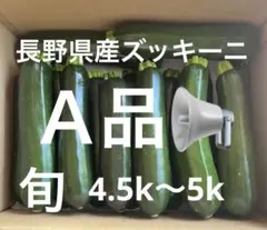 長野県産ズッキーニ詰め合わせセット！ここでしかないサイズも有‼️受注後採取‼️のサムネイル